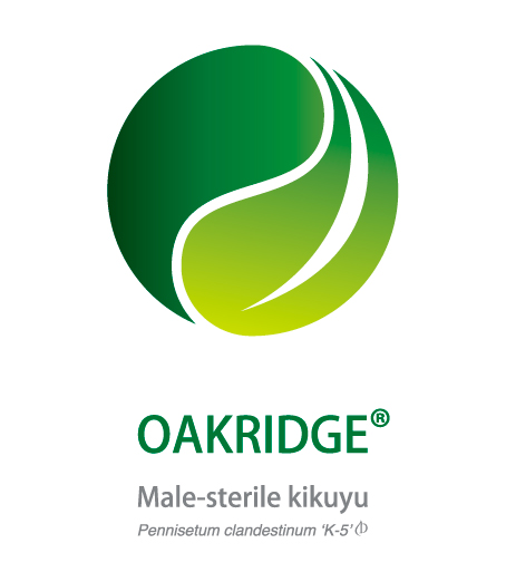 Oakridge Kikuyu